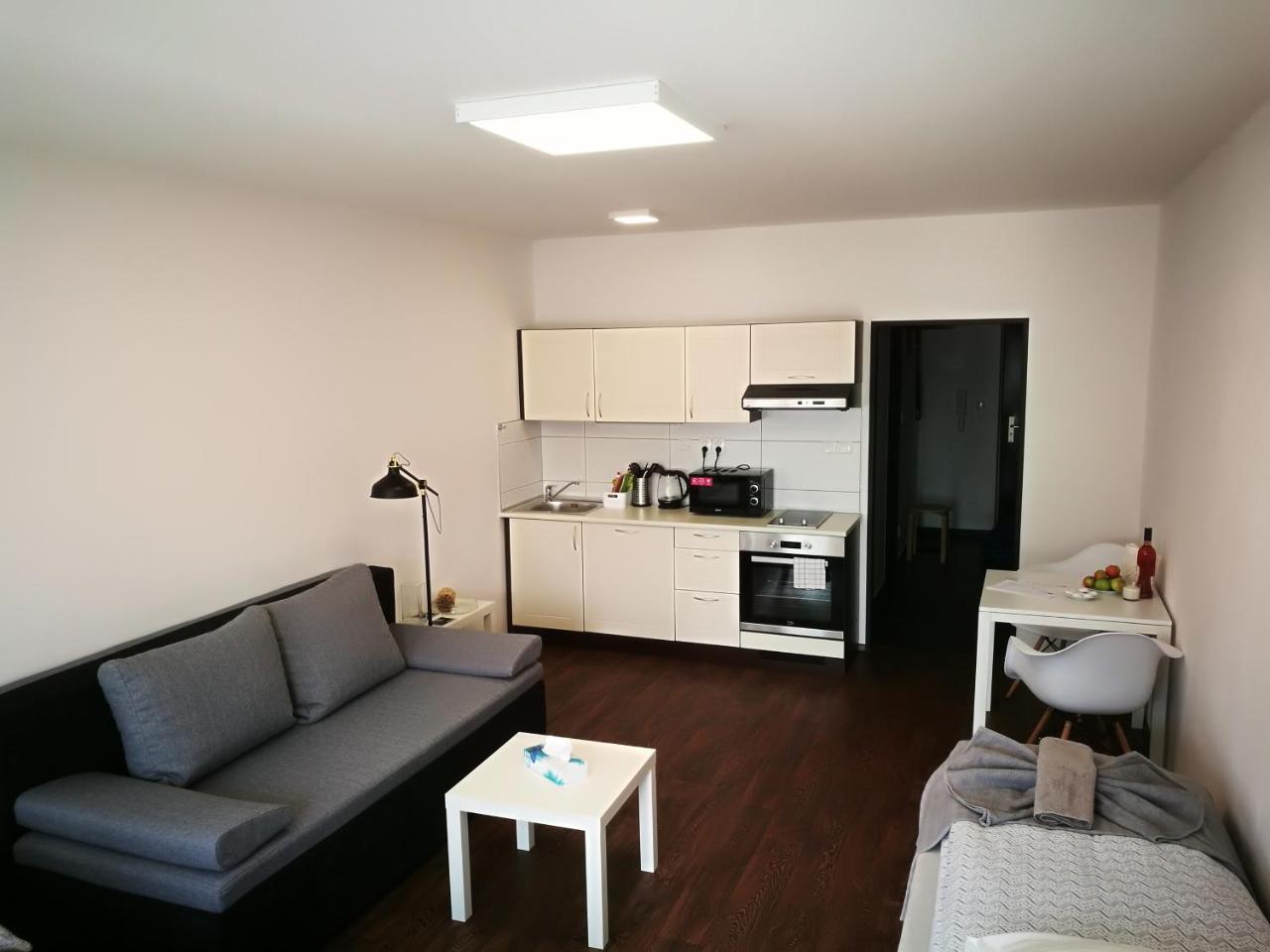 Haas Apartments Downtown With Parking Brno Exterior photo